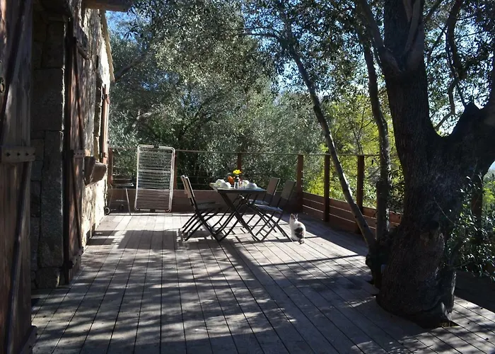 Les Bergeries De Petralonga